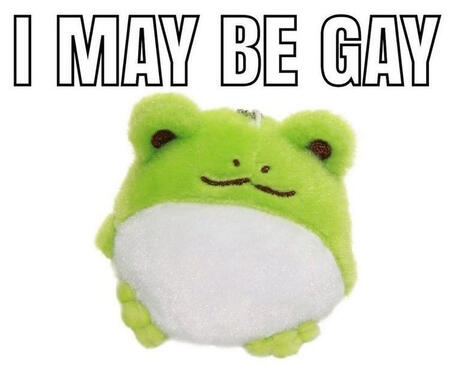 round plush frog with text above it that says "I may be gay"